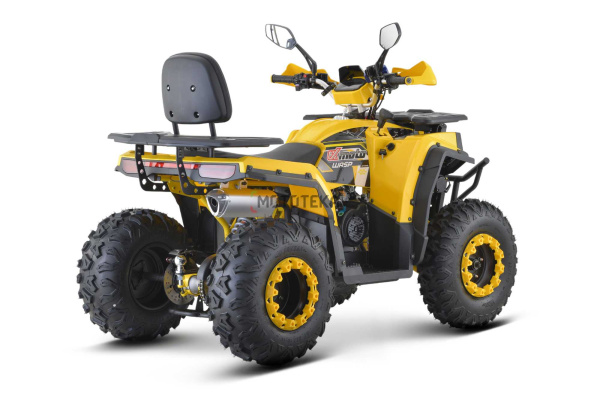 Квадроцикл FXMOTO (ФХМото) WASP 200 LUX жёлтый (машинокомплект) | Мототека
